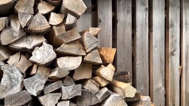 The man stacks firewood. Stacked firewood — Stockvideo