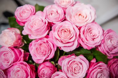 Beyaz arka planda vazoda güzel güller