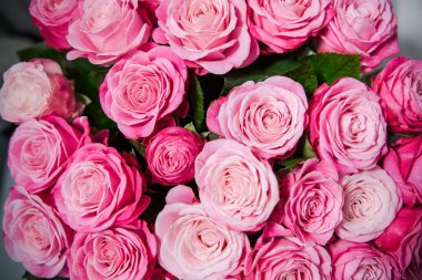 Beyaz arka planda vazoda güzel güller