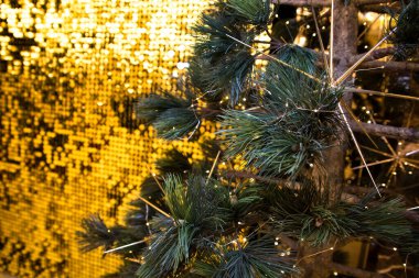 Arka plan için güzel bir Noel kompozisyonu yakın plan çekimi