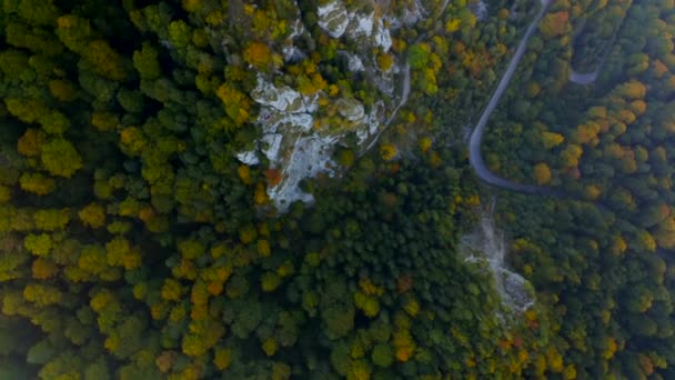 カルパチア山脈の中央にある蛇紋岩ドローンの4K空中映像 緑の木々や灰色の石のピークアスファルトの道路をカバー 冷たい色合いの秋のシーンの回転フレーム トップ表示 — ストック動画