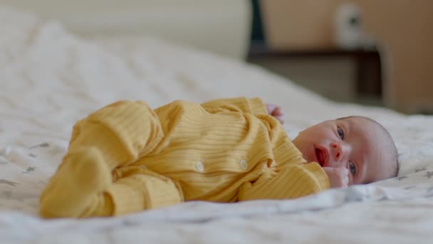 Imágenes Bebé Recién Nacido Mono Amarillo Encuentra Parte Posterior Una — Vídeos de Stock