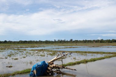 Doğal Manzaralı Pirinç Pulluk Traktör Makineleri