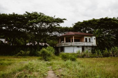 Pirinç tarlasının kenarında artık kimsenin oturmadığı bir ev.