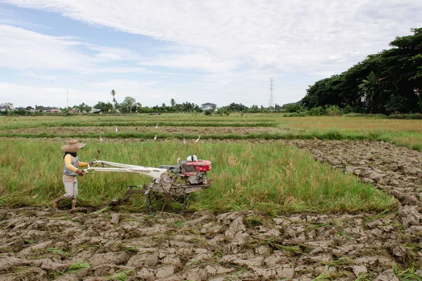 2022年5月26日 印度尼西亚亚齐Barat Daya 一名妇女在亚齐西南部稻田用拖拉机耕作稻田 — 图库照片