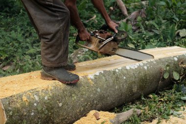 Aceh Barat Daya, Endonezya - 6 Ağustos 2022 Ağustosta bir işçi oduncuyla odun keserek Blangpidie Aceh Barat Daya 'da bulunan kütükleri küçük parçalara ayırdı.