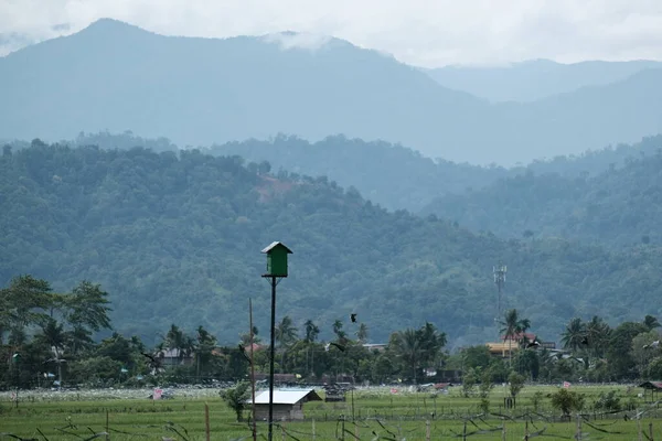 Ağustos 2022 'de Blangpidie, Güneybatı Aceh' te bulunan pirinç tarlalarının ortasında ev şeklinde bir kuş kafesinin ana objesiyle dağların ve pirinç tarlalarının görüntüsü.