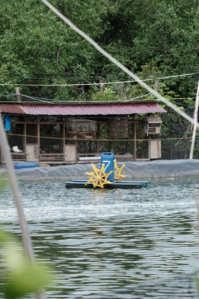 Roue Eau Placée Dans Étang Dans État Jaune Qui Est — Photo