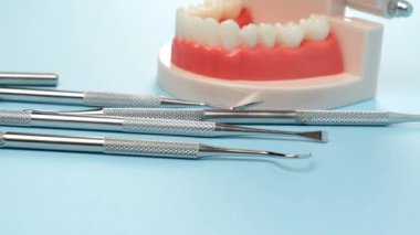 Beyaz dişli plastik çene modeli ve doktorun oral boşluktaki işi için çeşitli diş aletleri, mavi arka plan