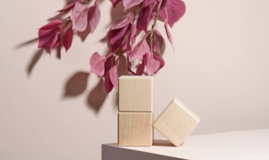 Bej arka planda tahta bloklar. Ürün, promosyon, satış, kozmetik ürünlerinin sunumu için konsept sahne gösterimi