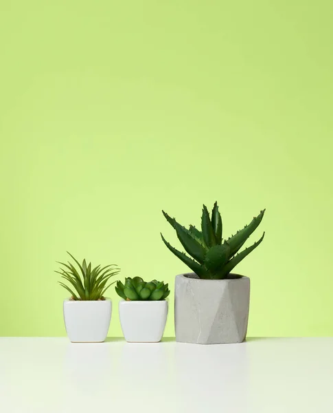Seramik Çömlek Yeşil Arka Plan Beyaz Masa Üzerinde Bitkiler — Stok fotoğraf