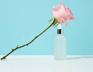 Pipetli beyaz cam şişe mavi arka planda duruyor. Kozmetik SPA markası. Jel, serum, reklam ve ürün tanıtımı için ambalaj, maket