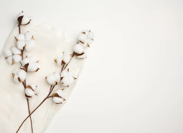 Piece White Gauze Sprig White Cotton Flowers Table Top View — Stock Photo, Image