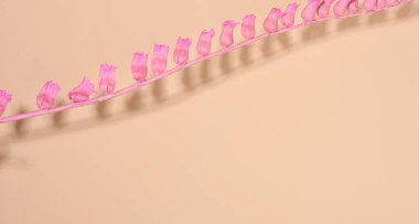 pembe çiçekli bej arkaplan, soyut arkaplan