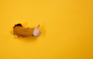 Kadının eli yırtık delikten dışarı sarkıyor ve bir jest gösteriyor. Tamam, başparmağını kaldır. Sarı arkaplan, boşluğu kopyala