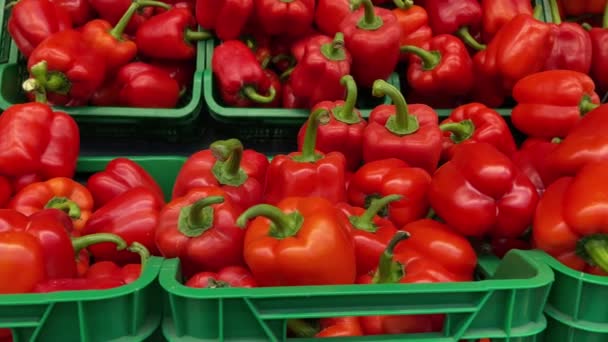 Ώριμα Κόκκινα Φρούτα Πιπεριών Πλαστικά Κουτιά Λαχανικά Νωπά — Αρχείο Βίντεο