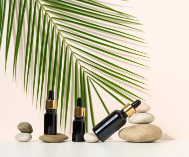 Kahverengi arka planda pipetli kahverengi cam şişe duruyor. Kozmetik, serum ve yağ için konteyner, yeşil palmiye yaprağı 