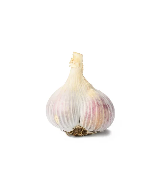 White Fresh Garlic Head Isolated White Background Healthy Spice — Stock Photo, Image