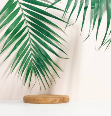 Ürünleri sergilemek için sahne, yuvarlak ahşap bir podyum ve yeşil bir palmiye yaprağı ile kozmetik. Arkaplanda gölge