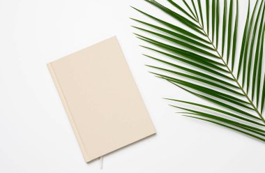 beyaz arkaplanda yeşil palmiye yaprağı ve not defteri, üst görünüm