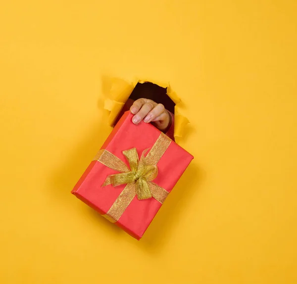 female hand holds a box with a gift on a yellow background, part of the body sticks out of a torn hole in a paper background. Congratulation, holiday surprise
