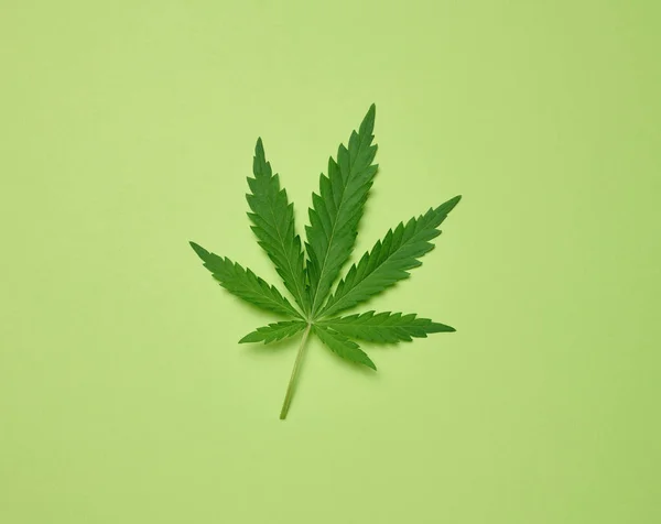 Hoja Cannabis Verde Sobre Fondo Papel Verde Vista Superior —  Fotos de Stock