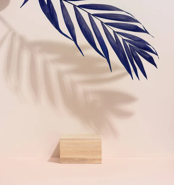 Holzwürfel Auf Beigem Hintergrund Mit Einem Schatten Von Einem Palmblatt — Stockfoto