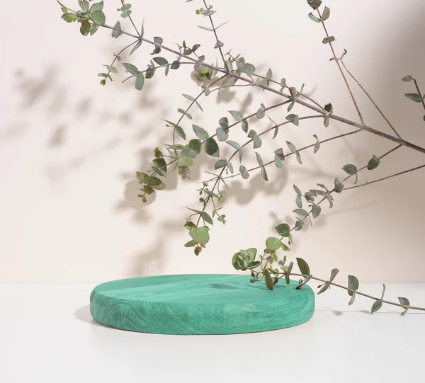 Round green wooden platform and eucalyptus branch on a beige background. Place to showcase products