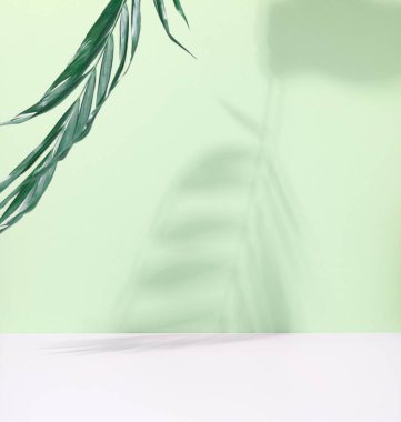 Yeşil arka planda gölgesi olan yeşil palmiye yaprakları. Kozmetik ürünlerin ve ürünlerin tanıtımı ve tanıtımı için boş bir sahne