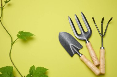 Bahçedeki yeşil arka plandaki yatakları işlemek için bahçe aletleri. en üstteki görünüm