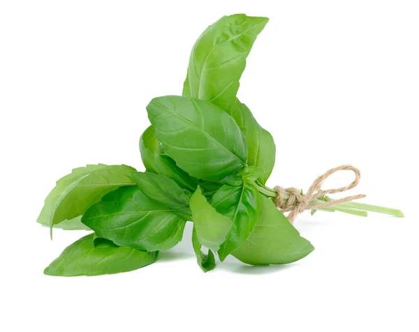 Basil Branch Green Leaves Isolated White Background — Stok Foto
