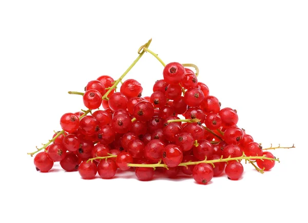 Bunch Ripe Red Currants White Isolated Background — Stockfoto