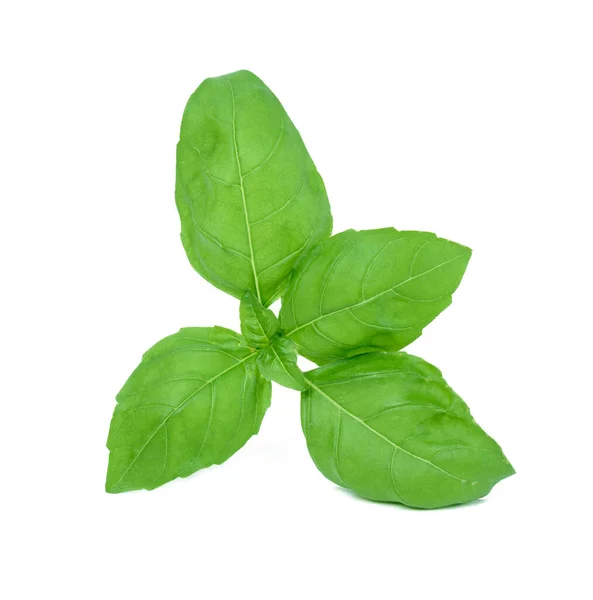 Bazalka Zelenými Listy Bílém Izolovaném Pozadí Pohled Shora — Stock fotografie