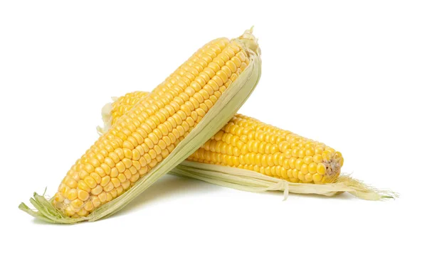 Stack Corn Cobs Yellow Grains Isolated White Background — 图库照片