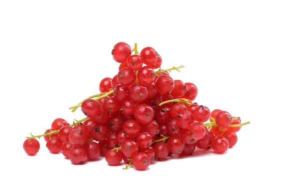 Bunch Ripe Red Currants White Isolated Background — Stock Fotó