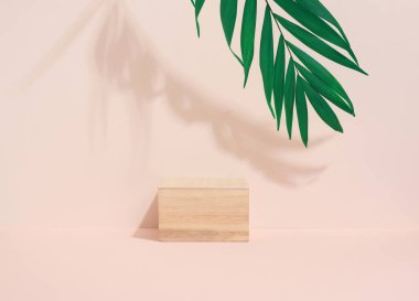Bej arka planda tahta küp ve palmiye yaprağının gölgesi. Ürün tanıtımı için sahne, kozmetik. Terfi ve reklamcılık