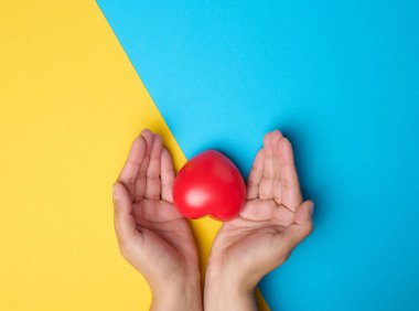 Female hands holds red heart, blue yellow background. Love and donation concept, top view