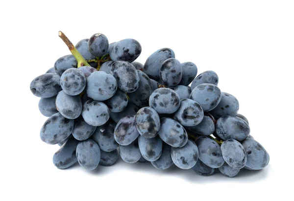 Ripe Blue Grapes White Isolated Background Wine Grapes — Stock Photo, Image