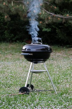 Bahçede kapalı kapaklı barbekü partisi.