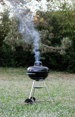 Bahçede kapalı kapaklı barbekü partisi.