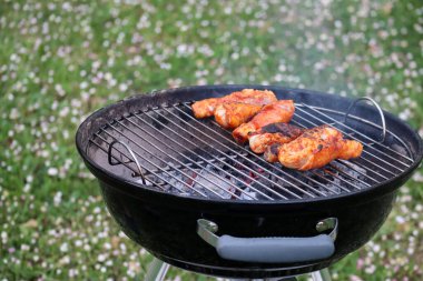 Bahçede tavuklu barbekü 