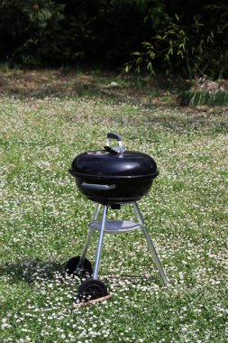 Güneşli bir günde bahçede barbekü