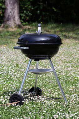 Güneşli bir günde bahçede barbekü