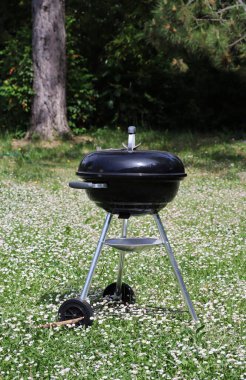 Güneşli bir günde bahçede barbekü