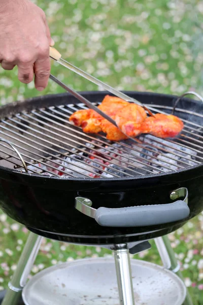 Barbecue Chicken Garden — Stockfoto