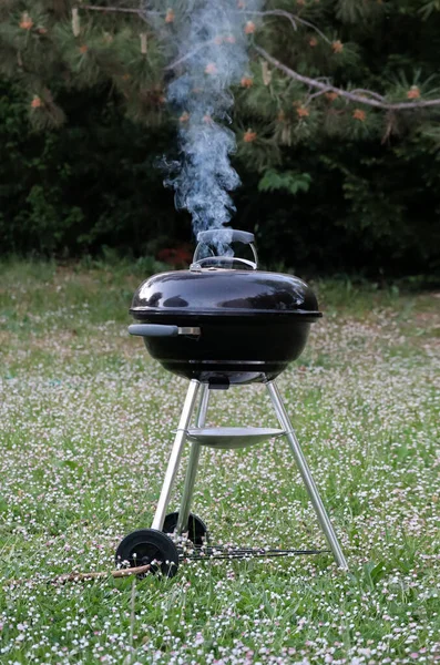 Bahçede kapalı kapaklı barbekü partisi.