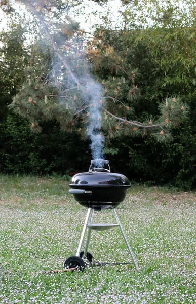 Bahçede kapalı kapaklı barbekü partisi.