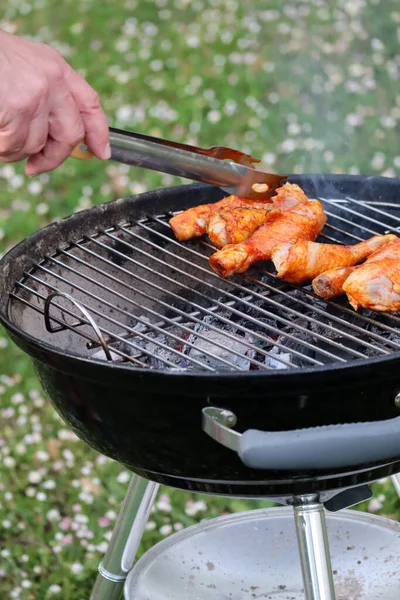 Barbecue Chicken Garden — Foto de Stock