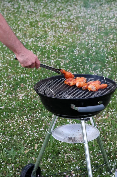 Barbecue Chicken Garden — Stockfoto