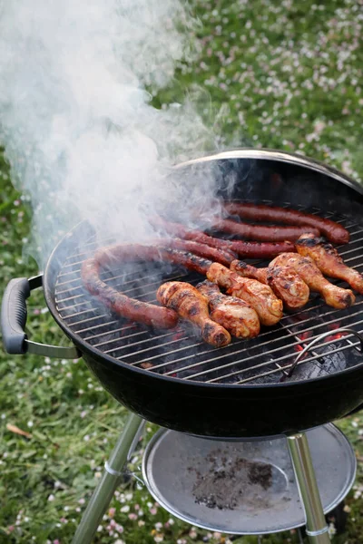 Barbecue Chicken Sausages Garden — Foto de Stock